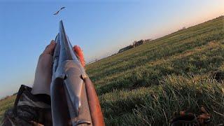 Goose hunting - Smoking barrels