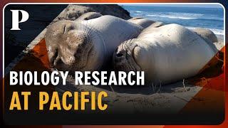 Biology research at Pacific | Student-faculty collaboration