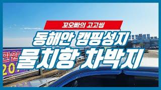 동해안 물치항 캠핑 차박의 성지 낚시 외옹치항 속풀이 해물순두부