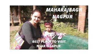 Maharajbagh Nagpur : CENTRAL ZOO OF NAGPUR || NAGPUR VLOG#23 || SECRET BAATE FOR YOU [BEST PLACE ]