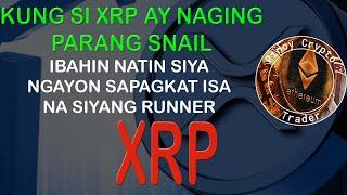 Kung noon si XRP ay Maituturing na Snail pero ngayon ito na ay isang Runner