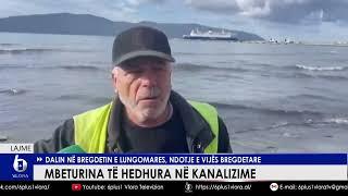 Mbeturina të hedhura në kanalizime - Dalin në bregdetin e Lungomares, ndotje në vijën bregdetare