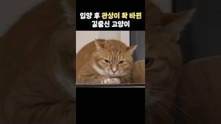 뾰족이에서 동글이로