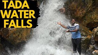 TADA Waterfalls | Chennai to TADA | Best waterfalls near to Chennai | waterfalls 2024 | #waterfall