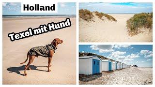 Texel: Urlaub mit Hund in Holland am Meer | Magyar Vizsla | Hundeurlaub