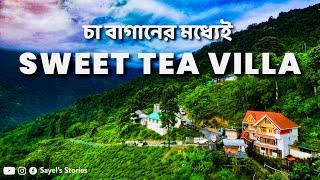 Luxury সাথে Tea Garden !! Sweet Tea Villa | Darjeeling Luxury Homestay | Offbeat Darjeeling |