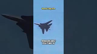 F-14 Power of Folding Wings