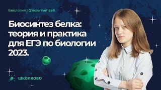 Биосинтез белка: теория и практика для ЕГЭ по биологии 2023