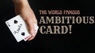 Everyone LOVES This Card Trick! Learn the Ambitious Card Now!