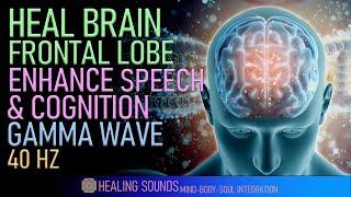 Heal Brain Frontal Lobe | Enhance Your Speech Reasoning & Problem Solving Skills | Gamma Wave | 40HZ