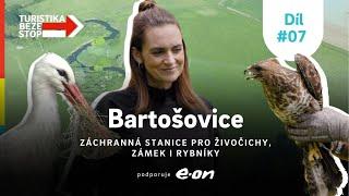 Tip na výlet! Jak to chodí v nemocnici pro zvířata? Daniela v záchranné stanici, na zámku i na farmě