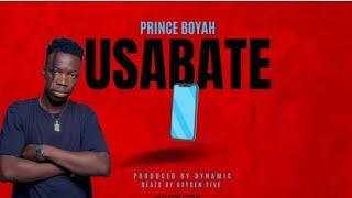 Prince Boyah - Usabate(Official lyric video)