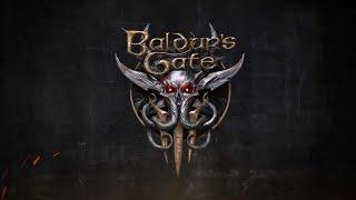 Baldurs Gate 3 - Paladin