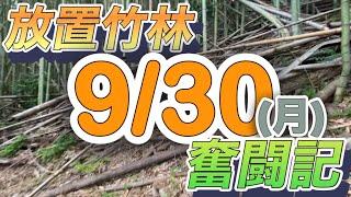 放置竹林奮闘記【サラリーマンが竹を割る日々】2024/09/30