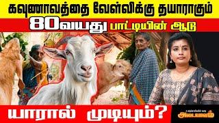 கண்ணீர் விட்டு கதறி அழுத்த 80 வயது பாட்டி! | jaffna | Adaiyalam | Nomika