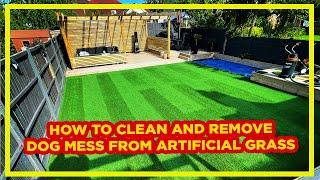 How to CLEAN DOG POO from Artificial Grass in 2024 | Satisfying Before/After!