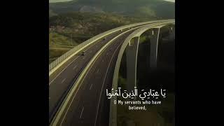 قرآننا حياتنا