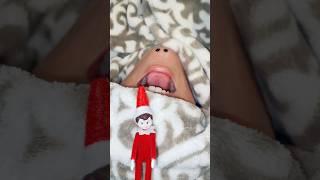 Rosy is scared of The Elf on the Shelf. #youtubeshorts