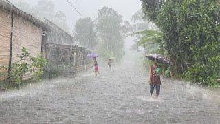 Super Heavy Rain Hits My Village | Thunder and Very Cold Wind | Sleep Well With the Sound of Rain