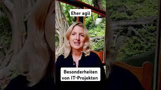 Besonderheiten von IT-Projekten Tag 67 von 100 Tage Projektmanagement