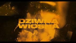 Dziwna Wiosna – Chwilowy brak słów (Official audio)