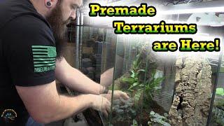  Introducing Our Awesome New Premade Terrariums! (And Their Creation Process!) 