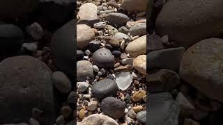 Clear sea glass. #beach #clear #SeaGlass