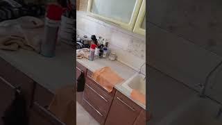 Убираем запахи, вирусы, бактерий в квартире