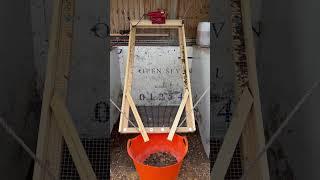 Electric vibrating sieve using a sander #allotment #soil #sieve #plantslife #shorts #short