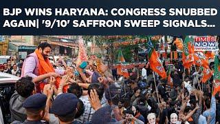 Haryana: BJP Sweeps Municipal Polls| Congress Out? What Saffron Win Signals| CM Saini, Anil Vij Say