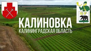 4K. Калиновка. Черняховский район. Калининградская область