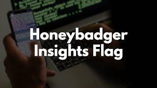 Adding Insights Flag to the Honeybadger RubyGem