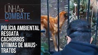 POLÍCIA AMBIENTAL RESGATA CACHORROS VÍTIMAS DE MAUS-TRATOS | LINHA DE COMBATE