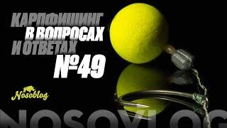 Карпфишинг в вопросах и ответах #49, Колесников А.