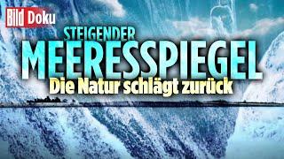 Der unaufhaltsame Anstieg: Wenn das Meer zur Gefahr wird | BILD Doku