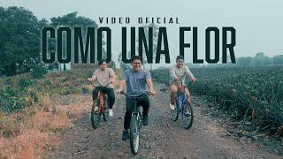 Como Una Flor-Hermanos Osorio (Video Oficial)