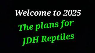 Welcome to 2025 - What's in store for JDH Reptiles?