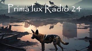 PRIMA LUX RADIO 24 - Immersive Ambient Journeys for Sunrise