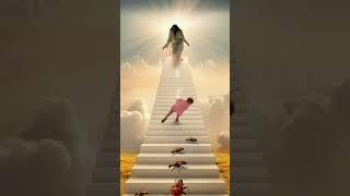  Believe in miracles? Show love.#catholicfaith #christian #oração #cancer #faith #mormon