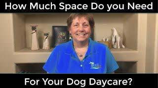 How Much Space Do You Need for Dog Daycare?