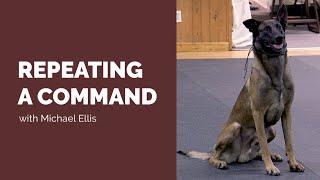 Should You Repeat Your Commands? with Michael Ellis