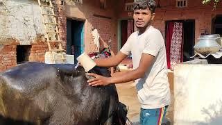 my first funny vlog video ll vikas desi funn 