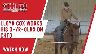 Lloyd Cox Works His 3-Yr-Olds on CHTO