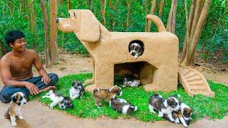 Build Mud Dog House For Rescued Puppies And Craft House