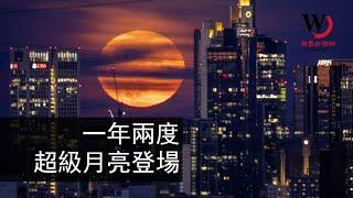 快看世界／一年兩度 巨大「超級月亮」全球共賞