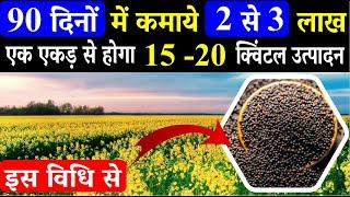 Complete information on how to cultivate mustard. How to cultivate mustard? Sarson farming Variety