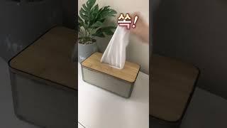 쏙쏙~티슈케이스
