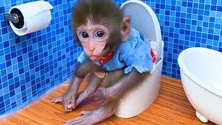 Baby monkey Bon Bon go to the toilet and playing with the puppy So cute