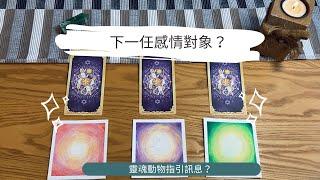 艸艸占卜下一任感情對象？特質/個性 | Tarot | pick  a card（無時間限制）