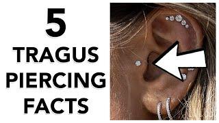 5 Facts About Tragus Piercings!!